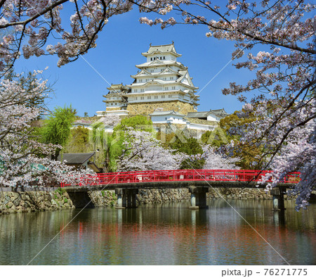 堀の桜と姫路城に赤い橋が映える 堀の桜と姫路城に赤い橋が映える 76271775