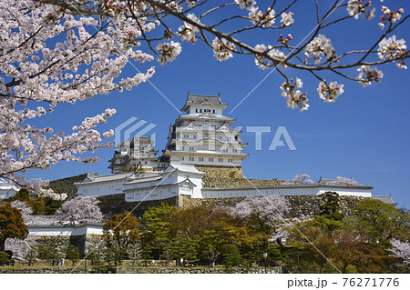 三の丸広場からの世界遺産・姫路城と桜 三の丸広場からの世界遺産・姫路城と桜 76271776