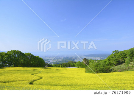 喜多方市を眺める三ノ倉高原菜の花畑 喜多方市を眺める三ノ倉高原菜の花畑 76271909