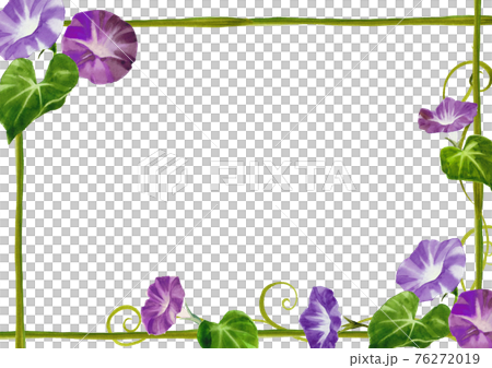 牽牛花手繪水彩裝飾框 76272019