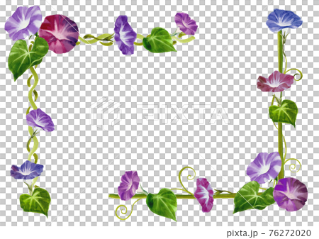 牽牛花手繪水彩裝飾框 76272020