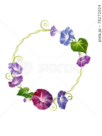朝顔の手描き水彩画飾り枠のイラスト素材