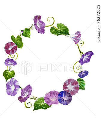 朝顔の手描き水彩画飾り枠のイラスト素材
