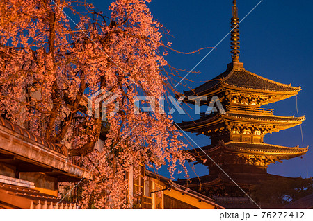 《京都府》春の京都・夜桜と八坂の塔 76272412
