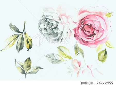透明水彩 水彩画 花のイラスト素材