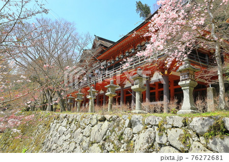 春の談山神社 76272681