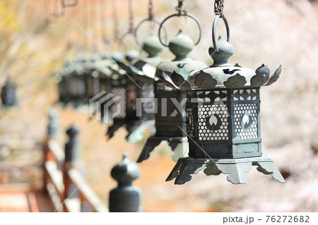 吊灯籠(春) 76272682