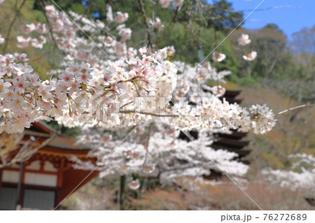 桜咲く談山神社(横位置) 桜咲く談山神社(横位置) 76272689
