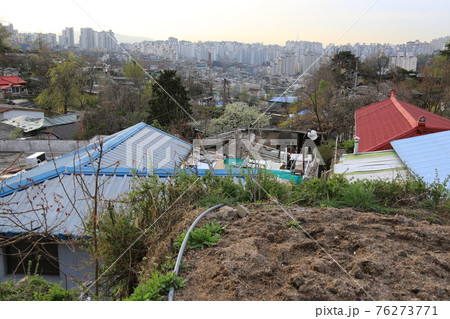 春 桜 風景 76273771