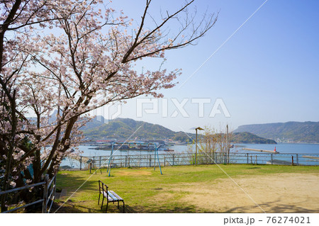 桜　香川県庵治町皇子神社からの眺め 76274021