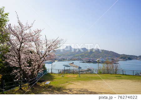 桜 香川県庵治町皇子神社からの眺め 桜 香川県庵治町皇子神社からの眺め 76274022