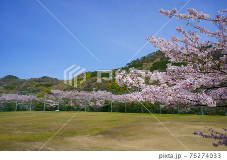 桜　内場池運動センター(香川県高松市) 76274033