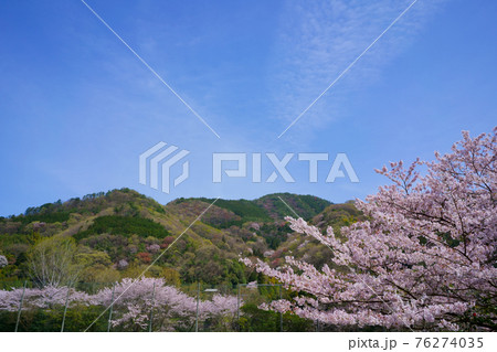 桜　春の山と青空の背景 76274035