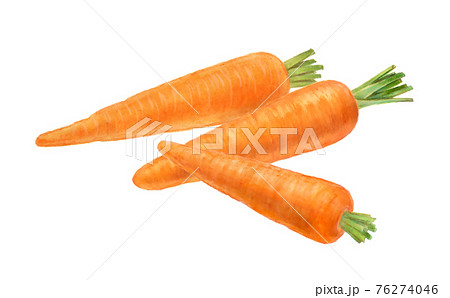 にんじんの手描きイラストのイラスト素材