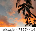 夕暮れとヤシの木 76274414
