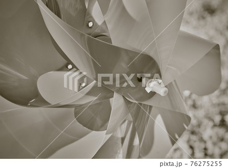 Zoom View Pinwheel in Mums Flower Garden in Vintage Tone Zoom View Pinwheel in Mums Flower Garden in Vintage Tone 76275255