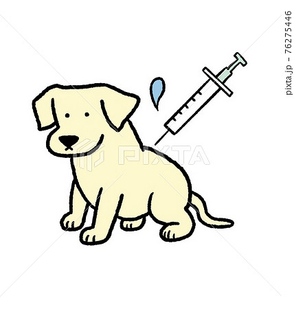 ワクチン接種をする犬のイラストのイラスト素材