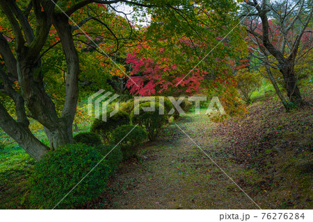 花と歴史の郷 蛇の鼻の秋模様 76276284