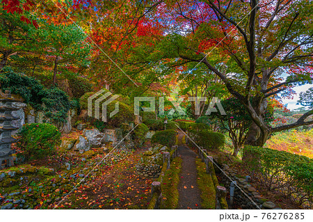 花と歴史の郷 蛇の鼻の秋模様の写真素材