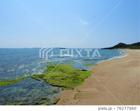 沖縄の海 2021 沖縄の海 2021 76277860