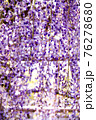 藤25 76278680