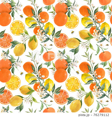 Beautiful seamless pattern with watercolor hand drawn citrus orange lemon grapefruit fruits. Stock illustration. Beautiful seamless pattern with watercolor hand drawn citrus orange lemon grapefruit fruits. Stock illustration. 76279112