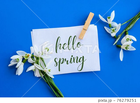 Greeting card text HELLO SPRING lettering with snowdrop flowers. Early spring flowers. Springtime. Fresh bouquet 76279251