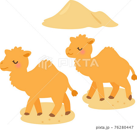 Two Dromedaries Walking In The Desert Stock Illustration