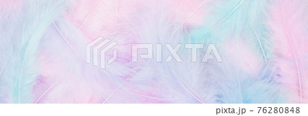 Beautiful multicolour feathers background in pastel pink, blue, mint and purple colors. Minimal abstract composition with copy space for text. Selective focus, festive concept. Banner 76280848