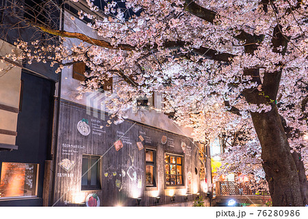 《京都府》木屋町通りの夜桜・春の飲み屋街 76280986