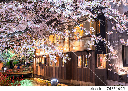 《京都府》木屋町通りの夜桜・春の飲み屋街 76281006