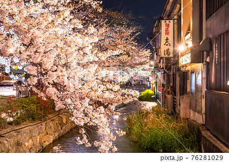 《京都府》木屋町通りの夜桜・春の飲み屋街 76281029