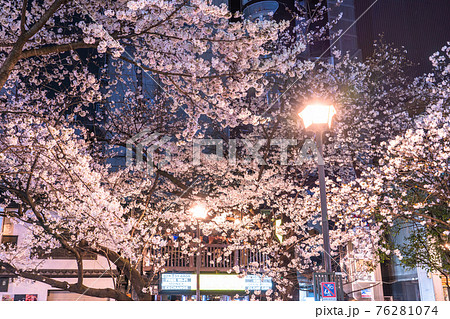 《京都府》木屋町通りの夜桜・春の飲み屋街 76281074