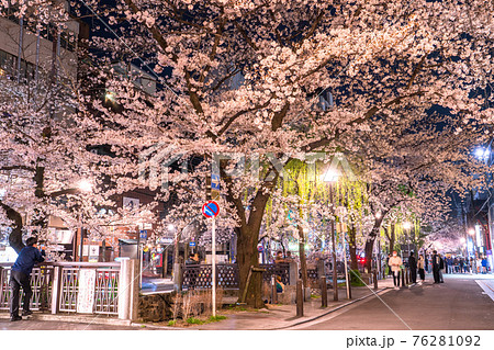 《京都府》木屋町通りの夜桜・春の飲み屋街 76281092