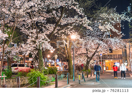 《京都府》木屋町通りの夜桜・春の飲み屋街 《京都府》木屋町通りの夜桜・春の飲み屋街 76281113