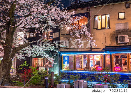 《京都府》木屋町通りの夜桜・春の飲み屋街 76281115