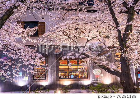 《京都府》木屋町通りの夜桜・春の飲み屋街 《京都府》木屋町通りの夜桜・春の飲み屋街 76281138
