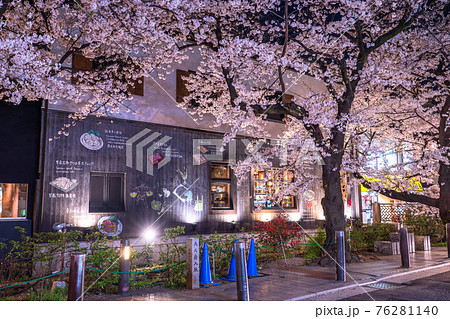 《京都府》木屋町通りの夜桜・春の飲み屋街 76281140