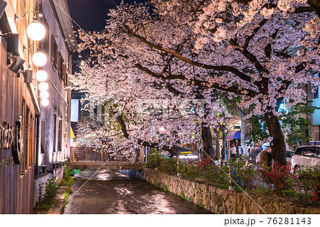 《京都府》木屋町通りの夜桜・春の飲み屋街 76281143