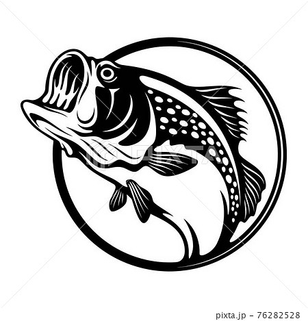 Bass fish - Fishing logo. Template club emblem. Fishing theme vector illustration. 76282528
