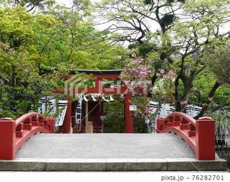 鶴岡八幡宮　Tsurugaoka Hachimangu Shrine 76282701