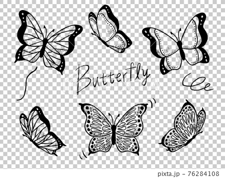 蝶やちょうちょの白黒手書きイラストイメージのイラスト素材