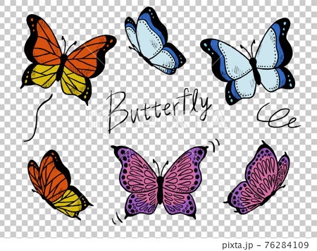 蝶やちょうちょの手書きイラストイメージのイラスト素材