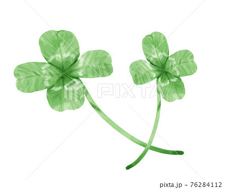 水彩風かわいい四つ葉クローバーのイラスト素材