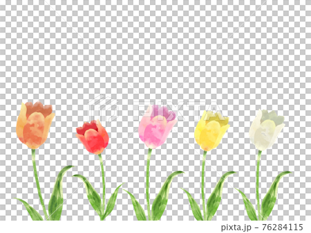 五顏六色的鬱金香花田，水彩觸感 76284115