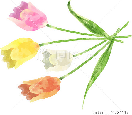 【原画販売】チューリップのブーケ　水彩画 原画販売】チューリップのブーケ 水彩画 水彩画「チューリップ