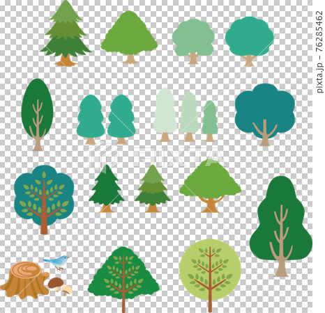 夏　緑　森　木　アイコン　かわいい　おしゃれ　シンプル　イラスト素材セット 76285462