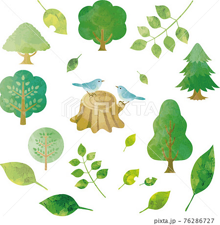 夏 緑 森 木 葉 小鳥 水彩 シルエット イラスト素材セット 夏 緑 森 木 葉 小鳥 水彩 シルエット イラスト素材セット 76286727