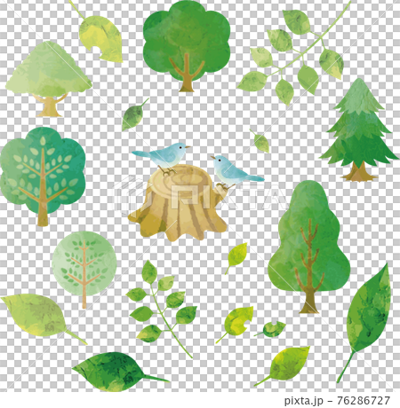 Summer green forest tree leaf small bird watercolor silhouette illustration material set Summer green forest tree leaf small bird watercolor silhouette illustration material set 76286727