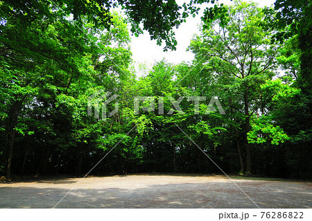 そうか公園（埼玉県草加市）の6月の風景（2016年） 76286822